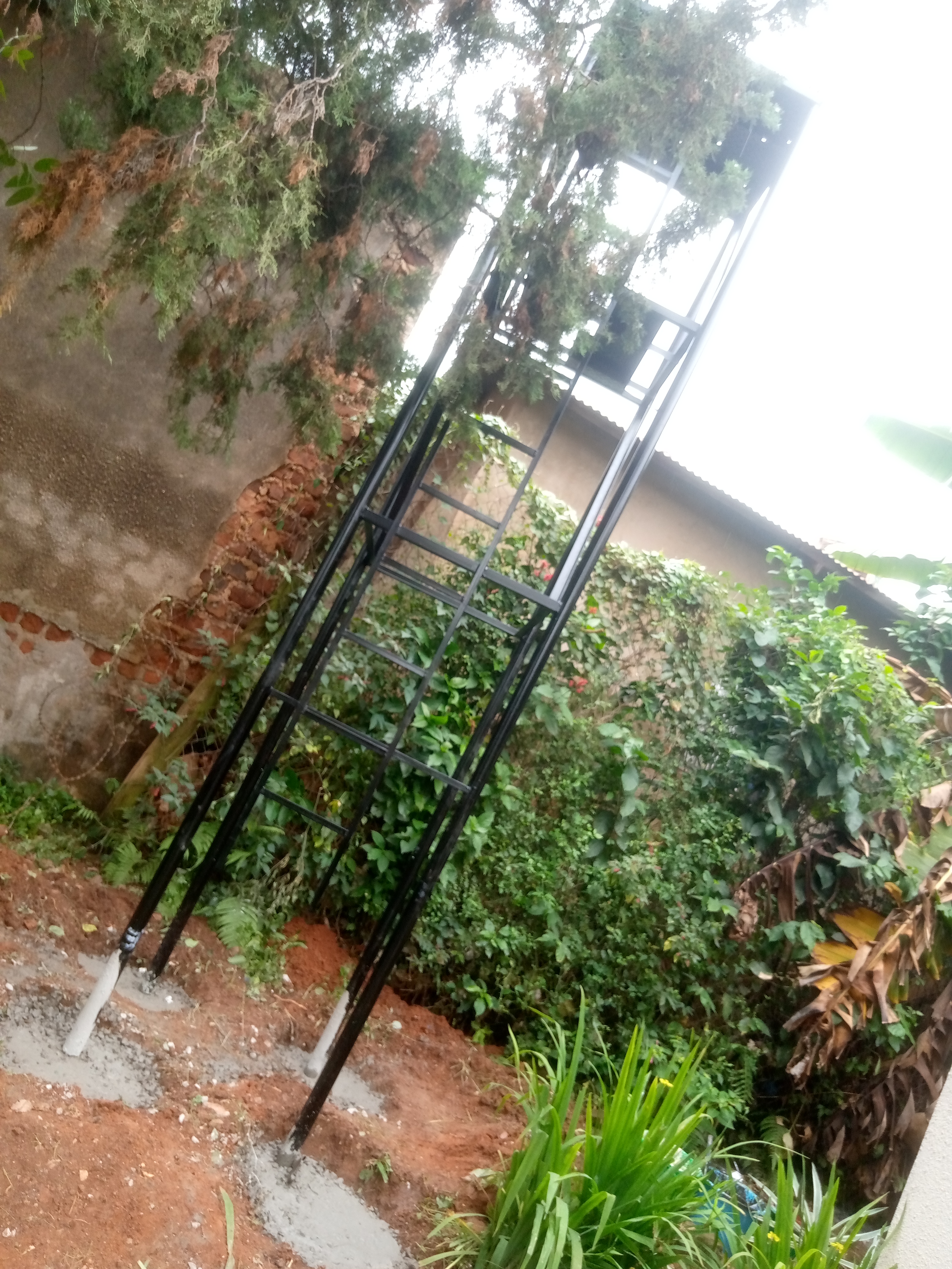Renovation & Maintenance Services